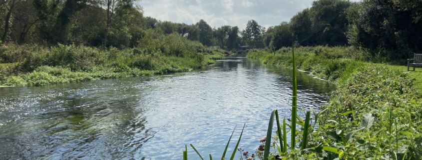 water quality in rivers